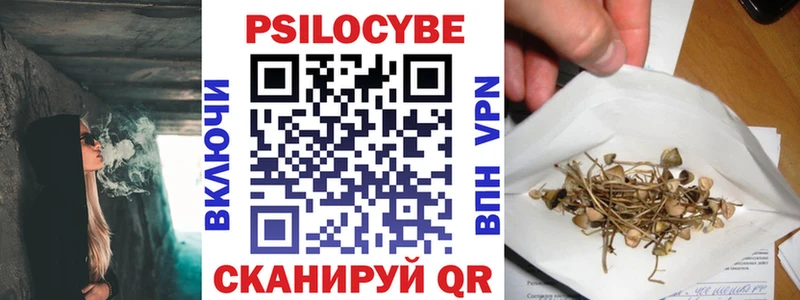 Купить закладки  Свирск  Галлюциногенные грибы мухоморы 