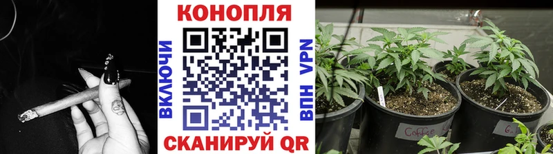 МАРИХУАНА MAZAR  Купить где  Свирск 